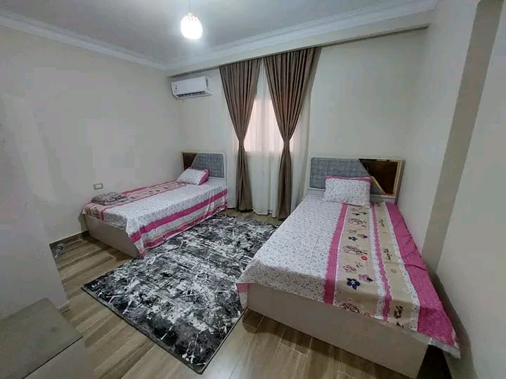 Amazing Apartment With Modern Furniture For lease In Maadi Degla