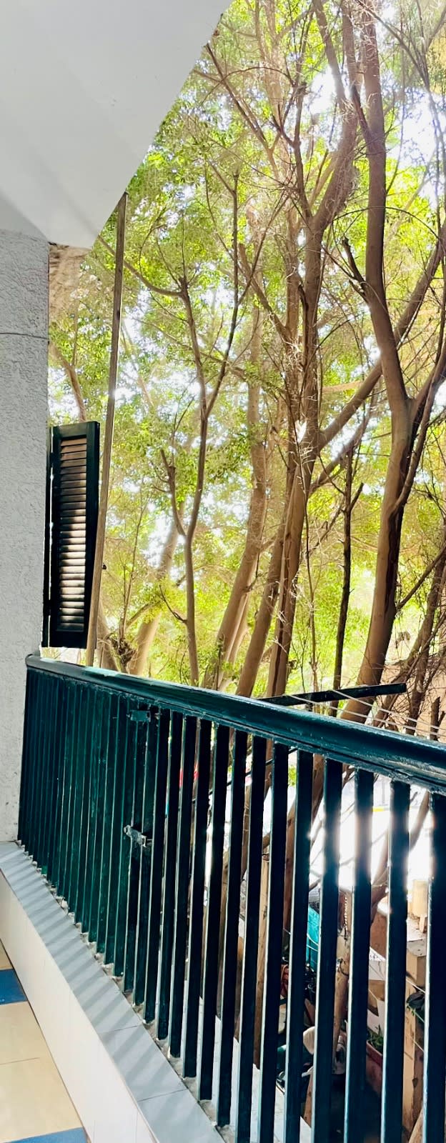 Beautiful Apartment For Rent In Prime Degla Location.