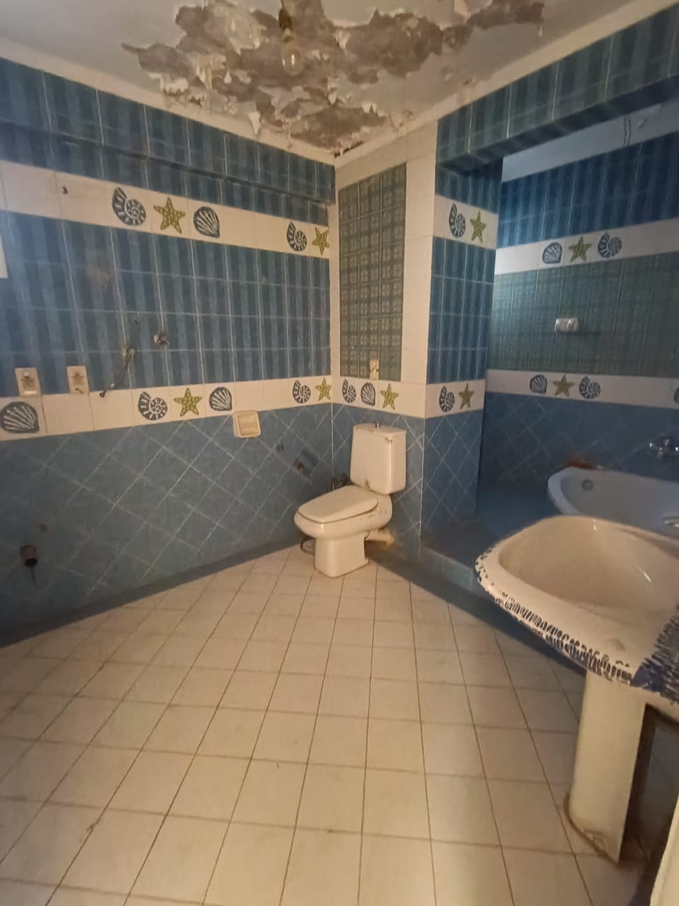 Administrative Office For Rent| 210m² | New Maadi.