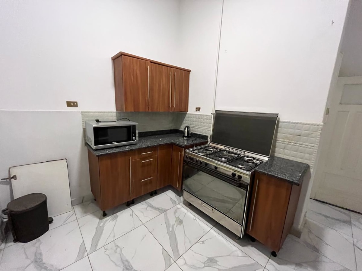 Renovated Apartment In Zamalek North For Rent.