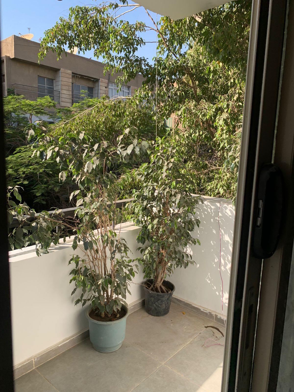 Bright & Spacious Furnished Apartment in Maadi