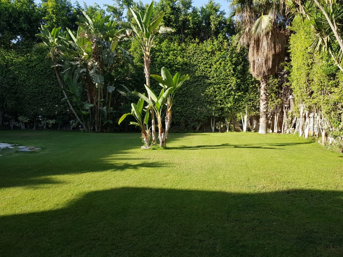 Prestigious 5-Bedroom Villa for Rent