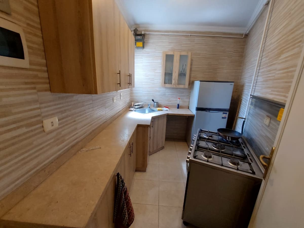  Furnished Apartment with Balcony in Zamalek|4100 Sqm