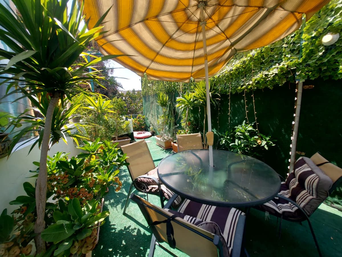 Cozy 1BR Apartment with Balcony View In Zamalek