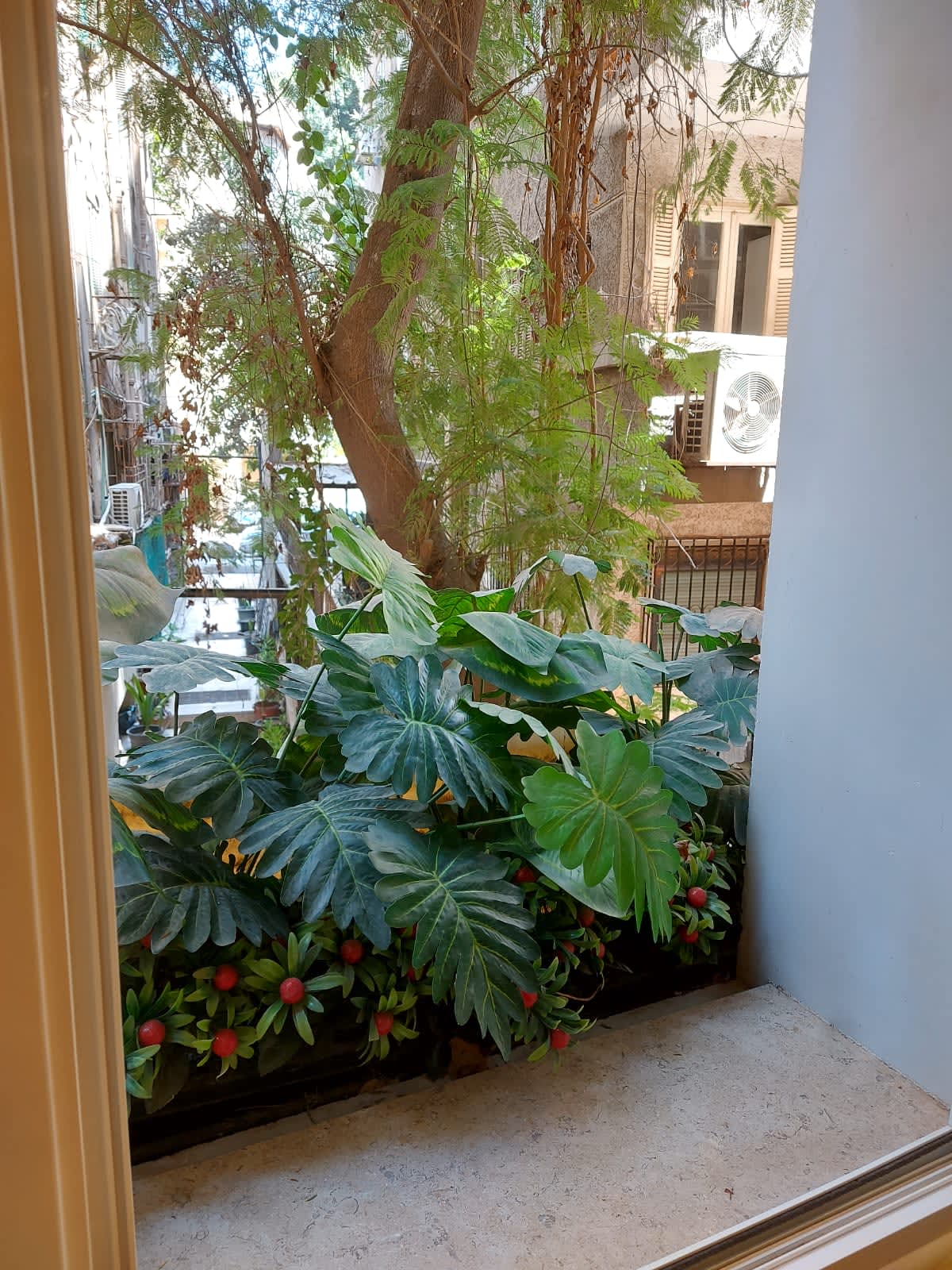 Bright & Cozy 1BR Apartment with Tree-Lined Views In Zamalek 