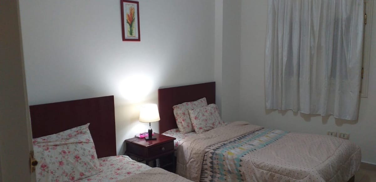 Furnished& Renovated Apartment in Maadi Degla
