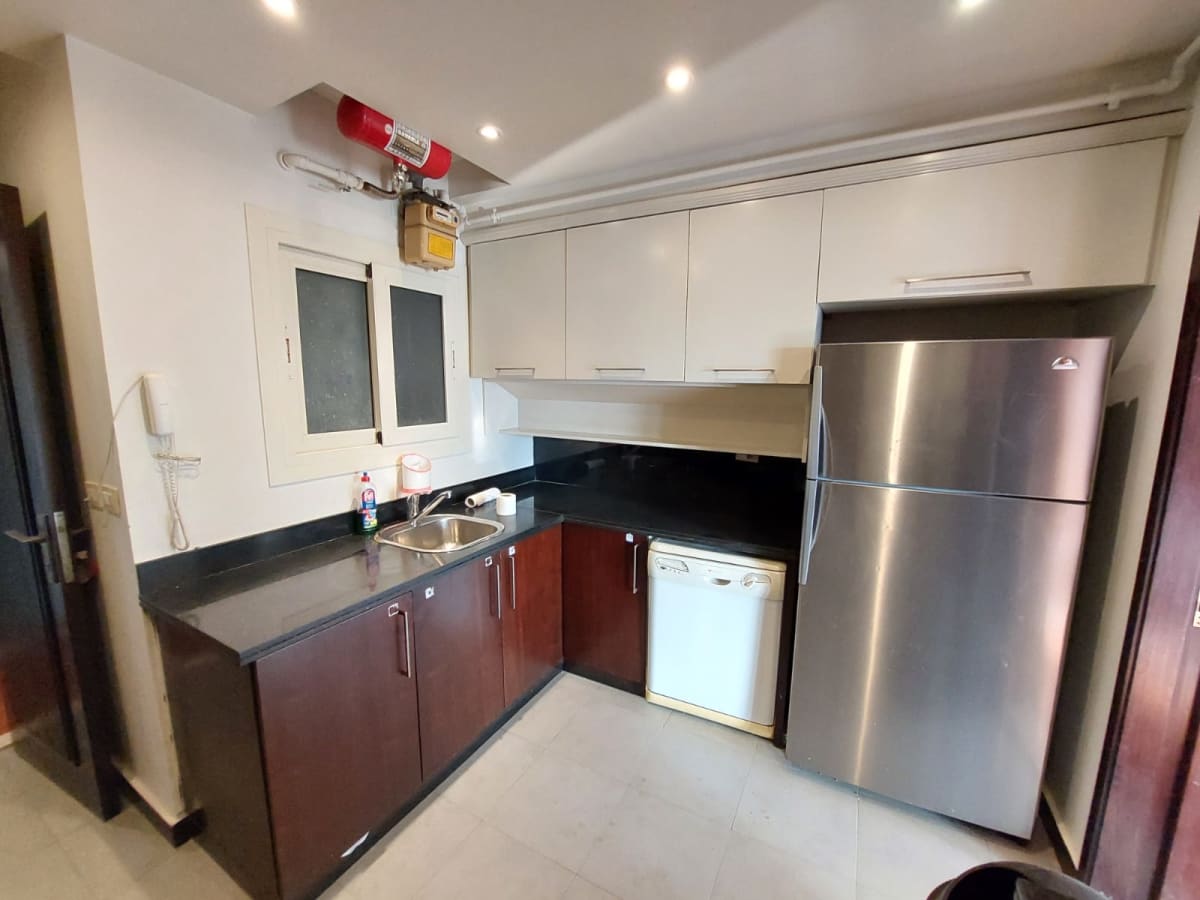 Looking View Nile Duplex For Rent in Zamalek