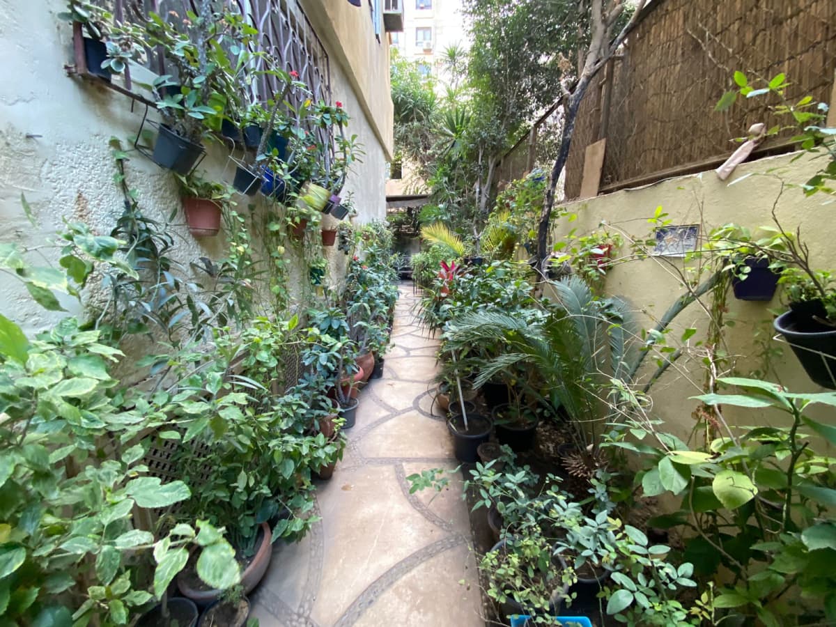 Cozy & Charming Ground Floor Surrounded By Greenery In Maadi Degla.