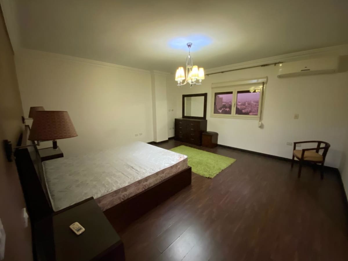 Stunning Penthouse with Terrace in Heart of Maadi