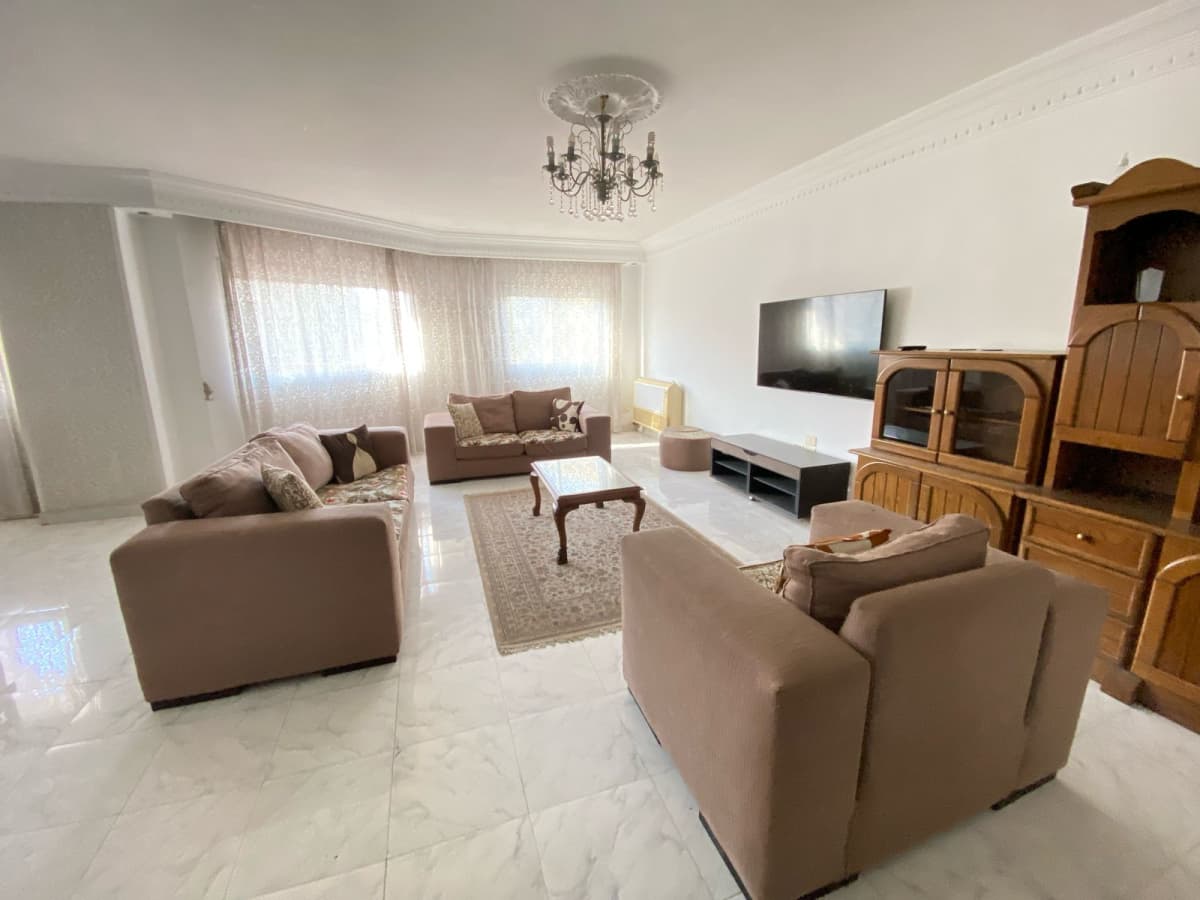 Furnished& Bright Apartment In Maadi Degla
