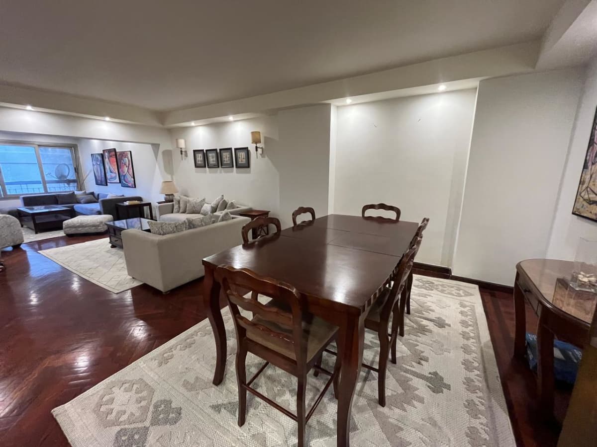 Furnished Apartment Looking View Nile In Zamalek