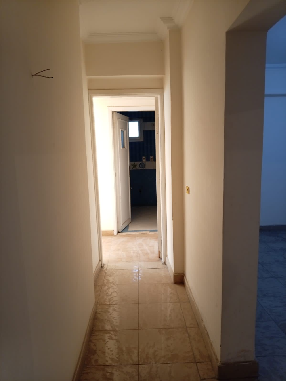 Administrative office for rent | 200 m² + 110 m² roof | Maadi.