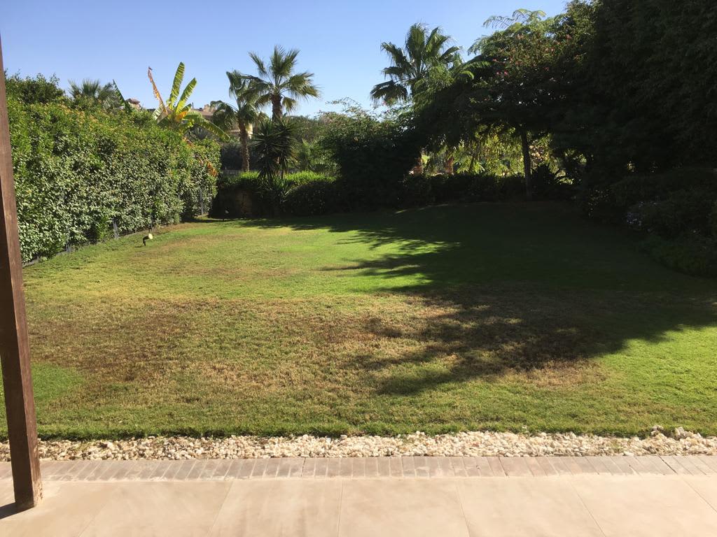 Charming Standalone Villa on 1100 sqm