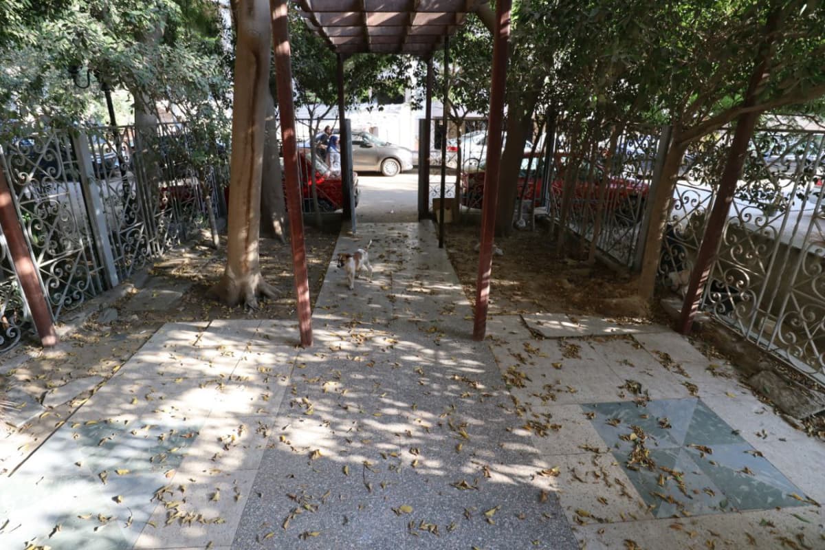 Administrative office for rent | 300 m² | El Maadi.