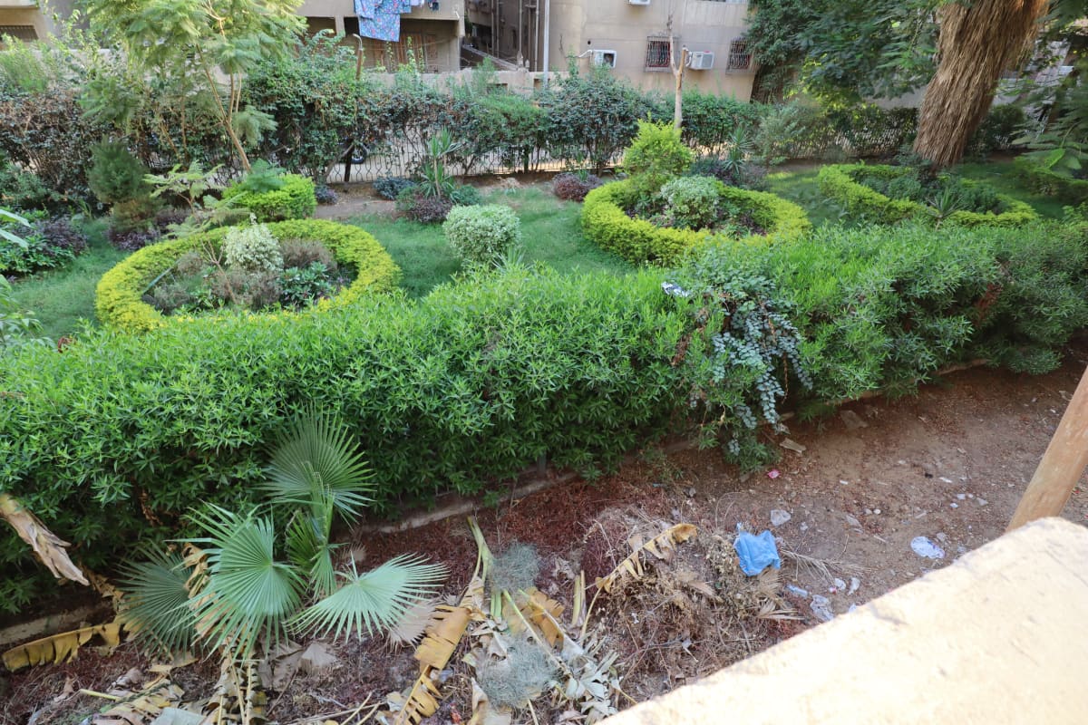 Administrative office for rent | 500 m² | El Maadi.