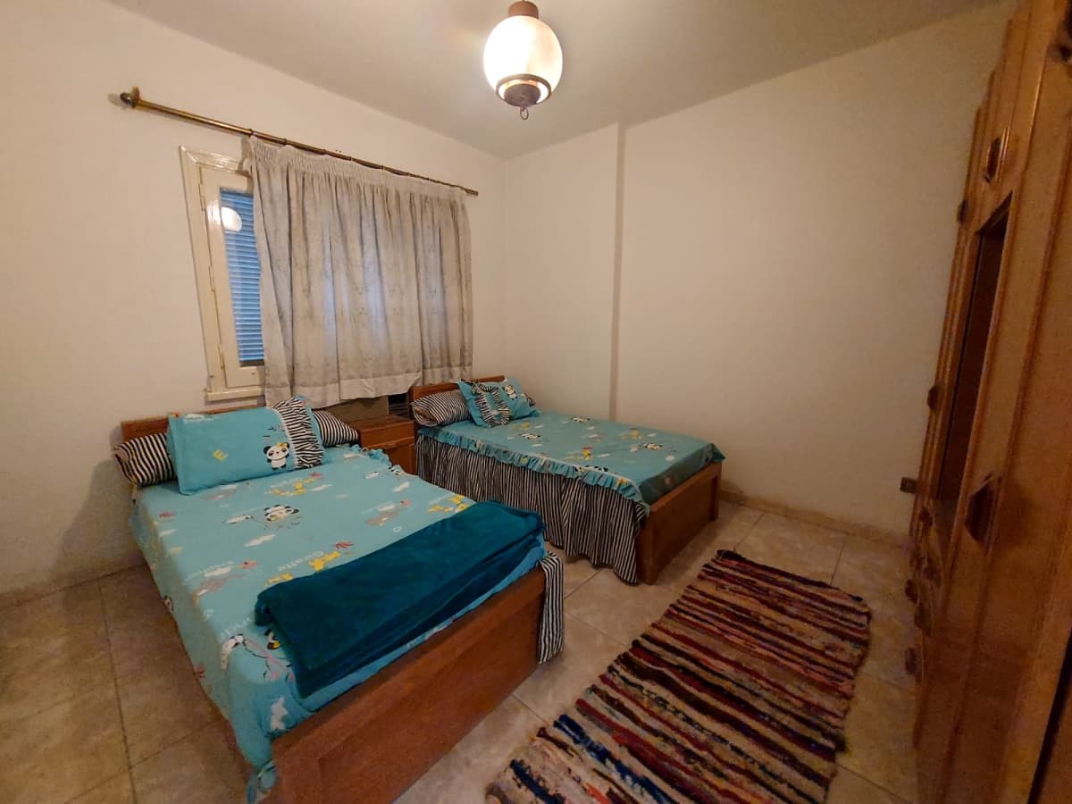 A Serene Apartment Surrounded By The Charm Of Zamalek.