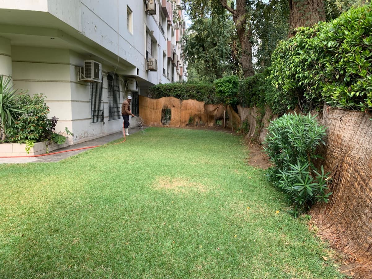Administrative office for rent | 250 m² | El Maadi.