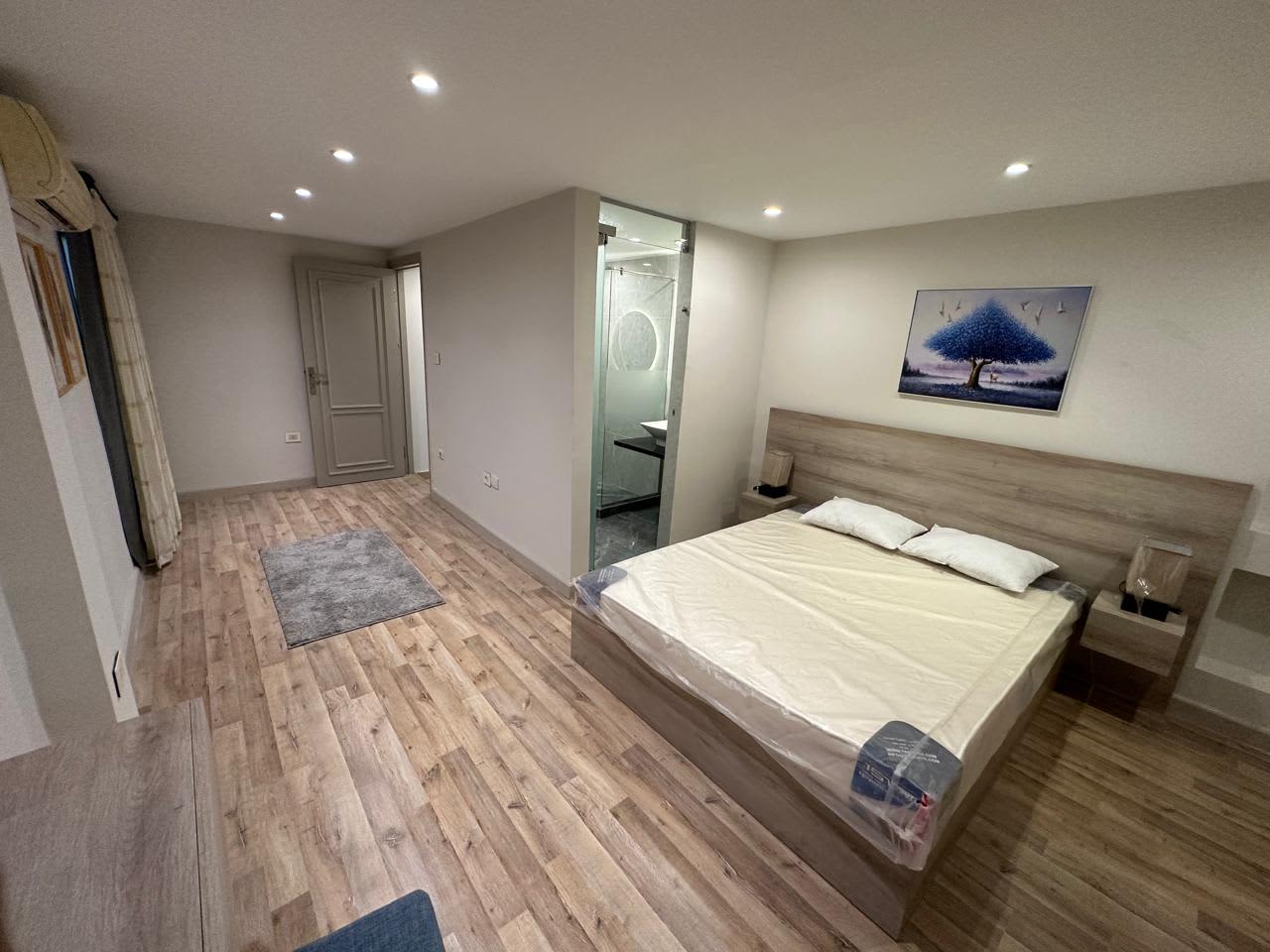 Premium Penthouse Apartment in Maadi Degla