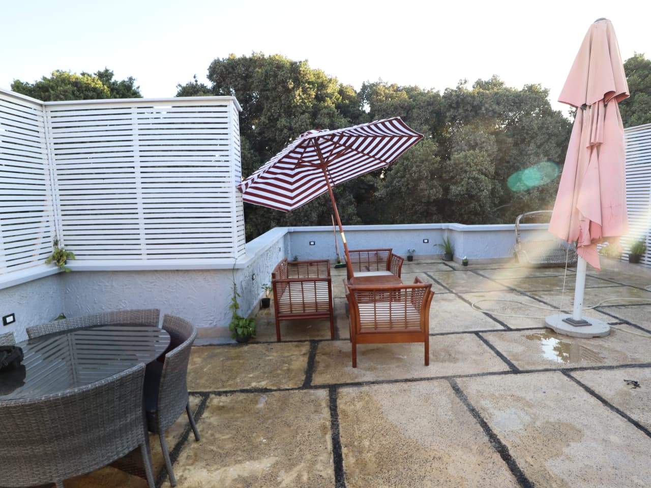 1 bedroom Studio for rent in Degla