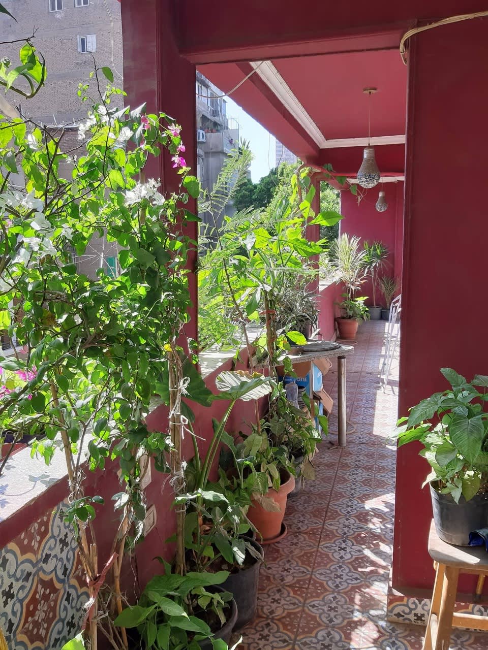 3 bedroom Apartment for rent in Zamalek