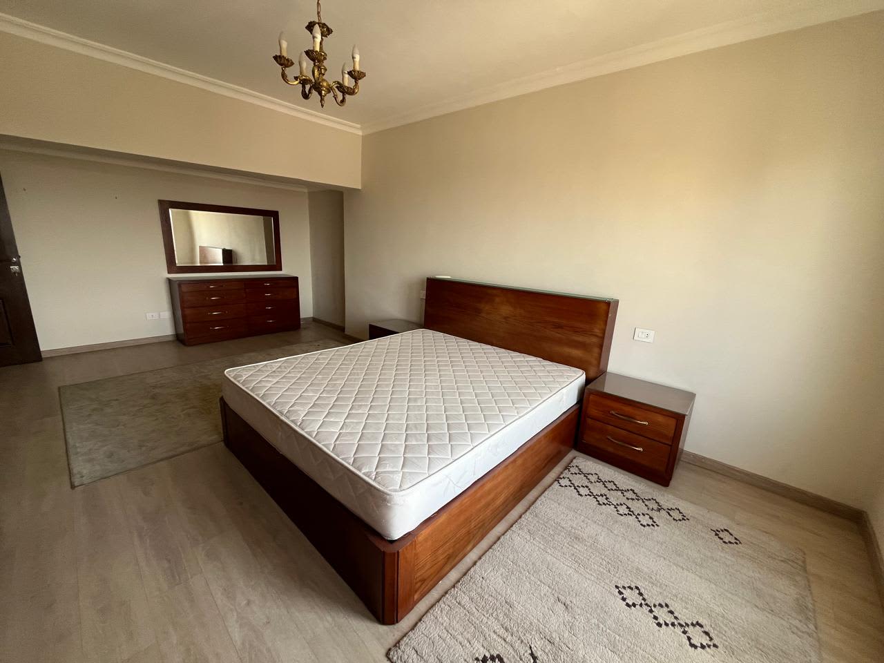 Comfortable Apartment for Rent in Zamalek Prime Location