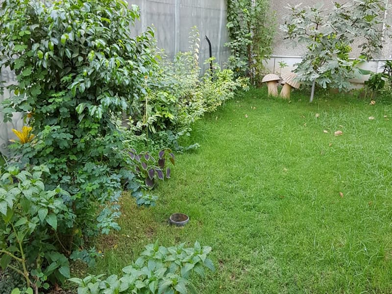 3 bedroom Ground Floor for rent in Sarayat