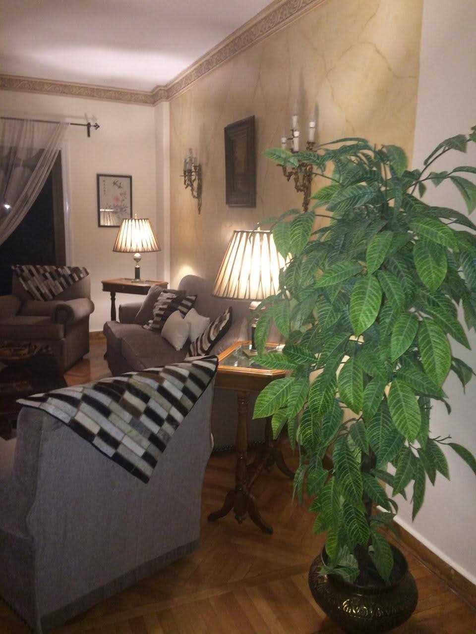 Spacious 2BR Apartment with Natural Light in Zamalek