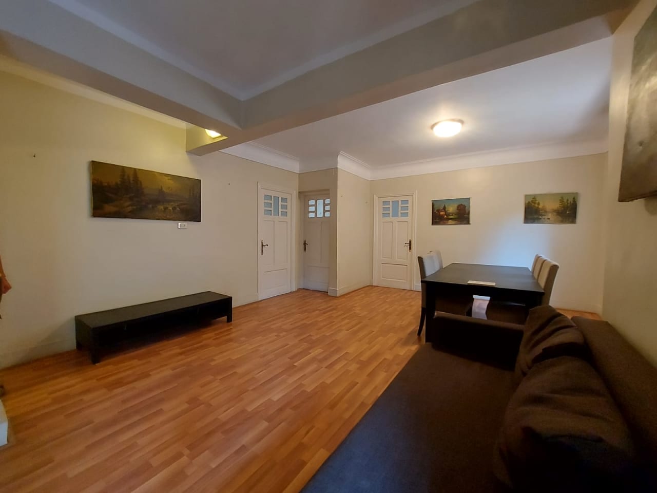 Well-Furnished Apartment for Rent in Zamalek
