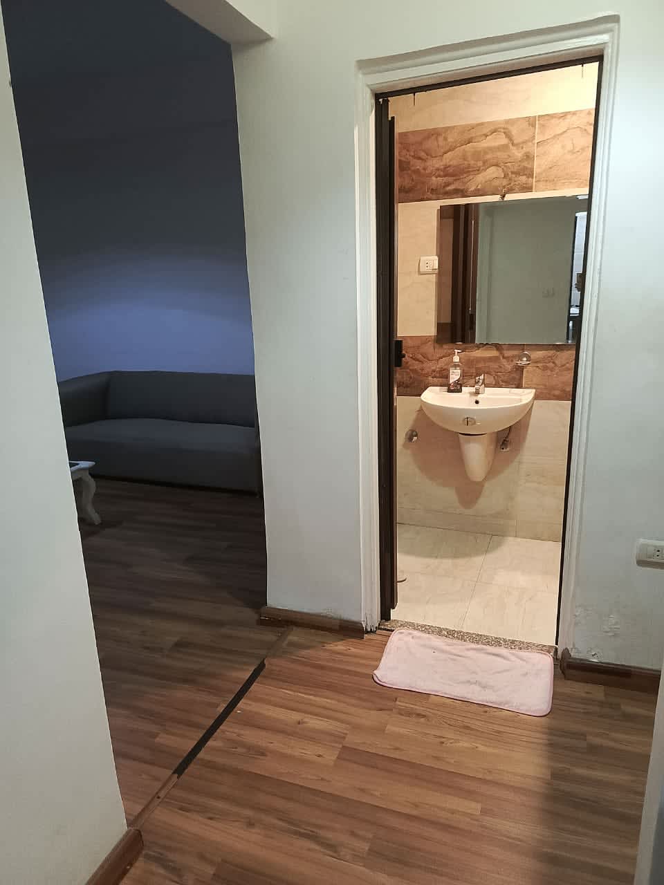 Simple and Comfortable 1BR Home In Zamalek