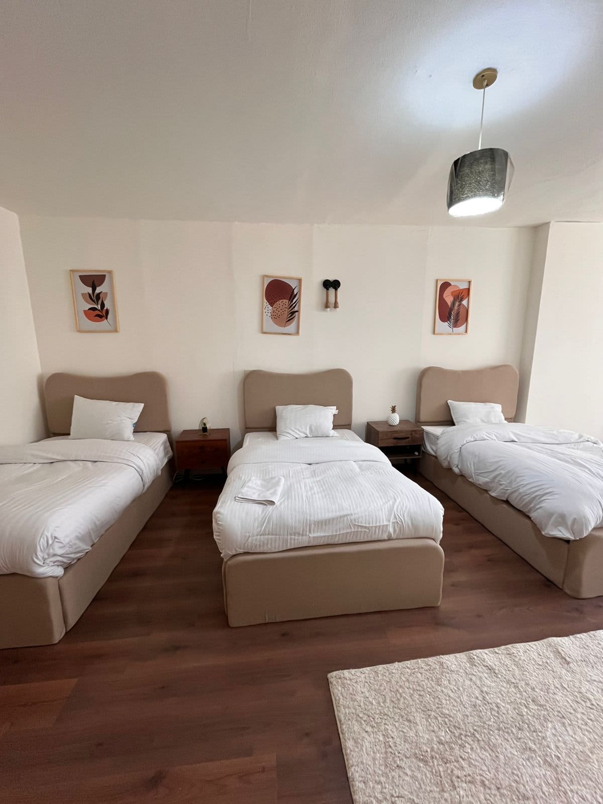 Bright 2BR Apartment in Prime Zamalek Location