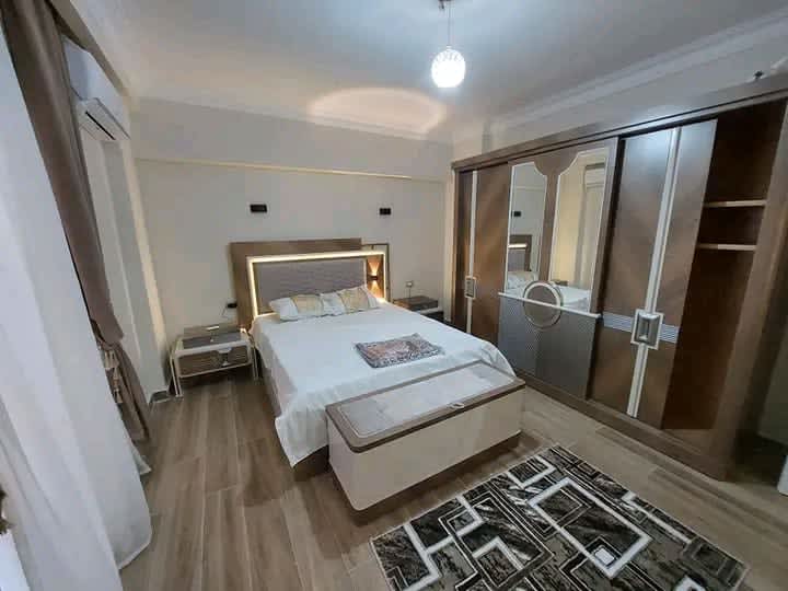 Amazing Apartment With Modern Furniture For lease In Maadi Degla