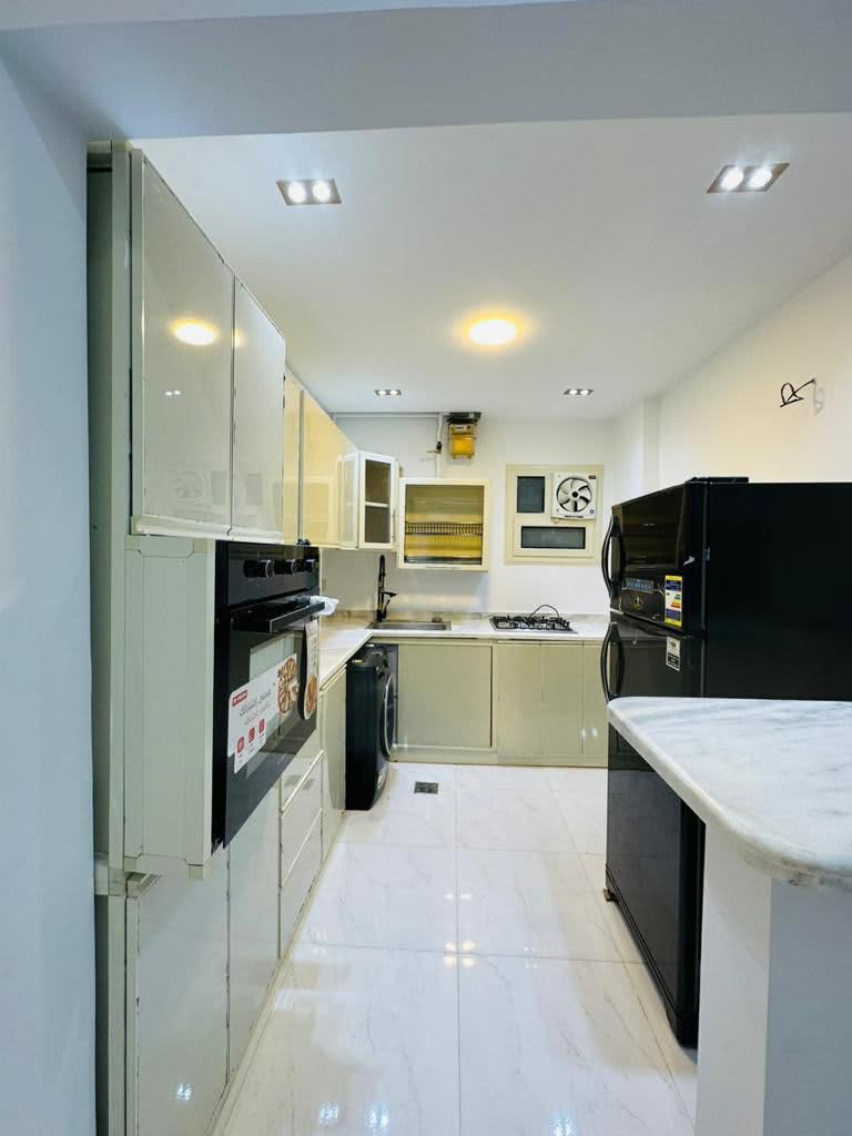 Sleek Furnished Apartment For Rent In Degla Maadi.
