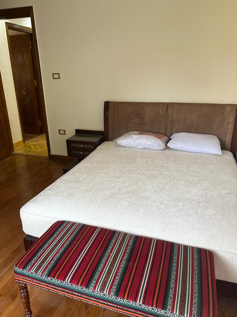 Comfortable Furnished Apartment in Serviced Maadi Sarayat