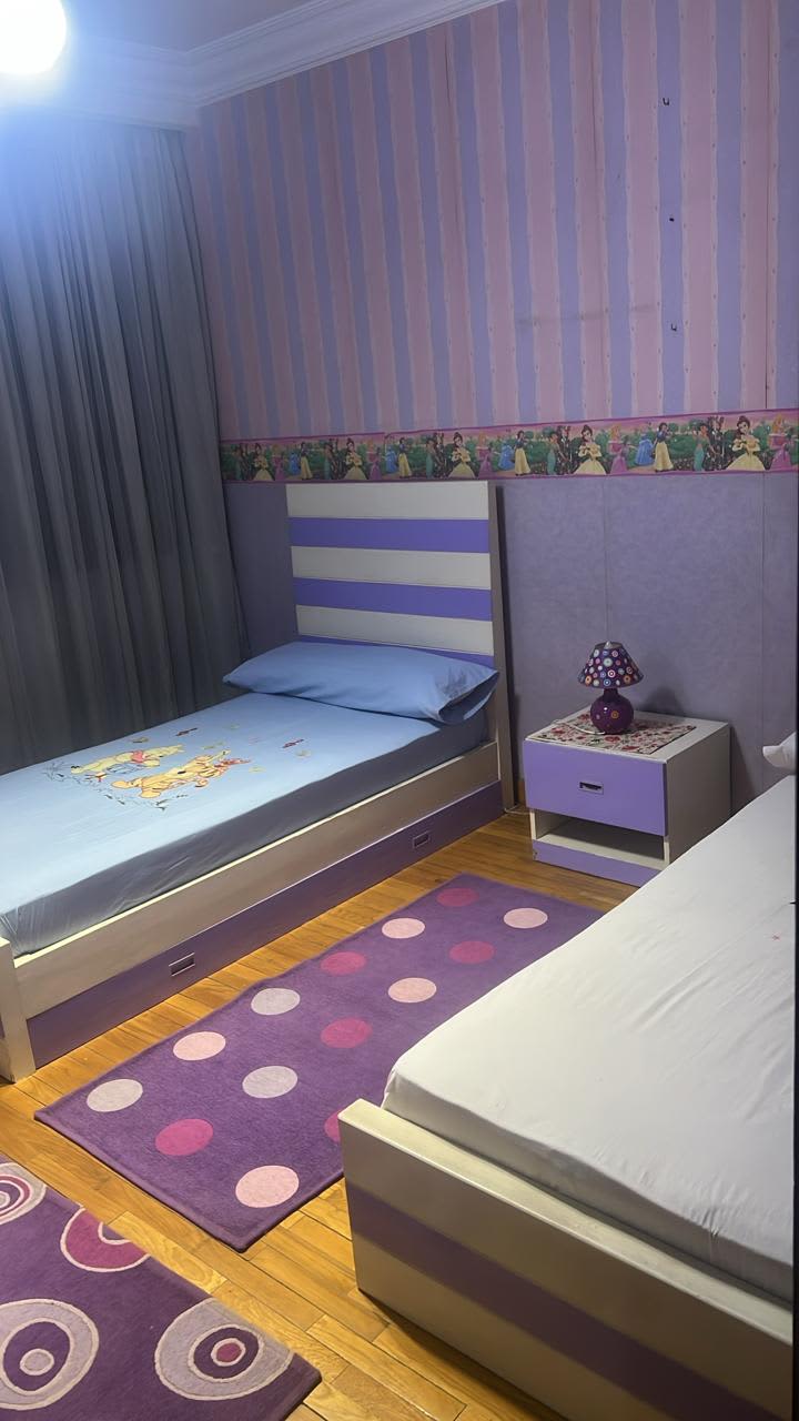 Furnished Apartment Rentals in Maadi Degla