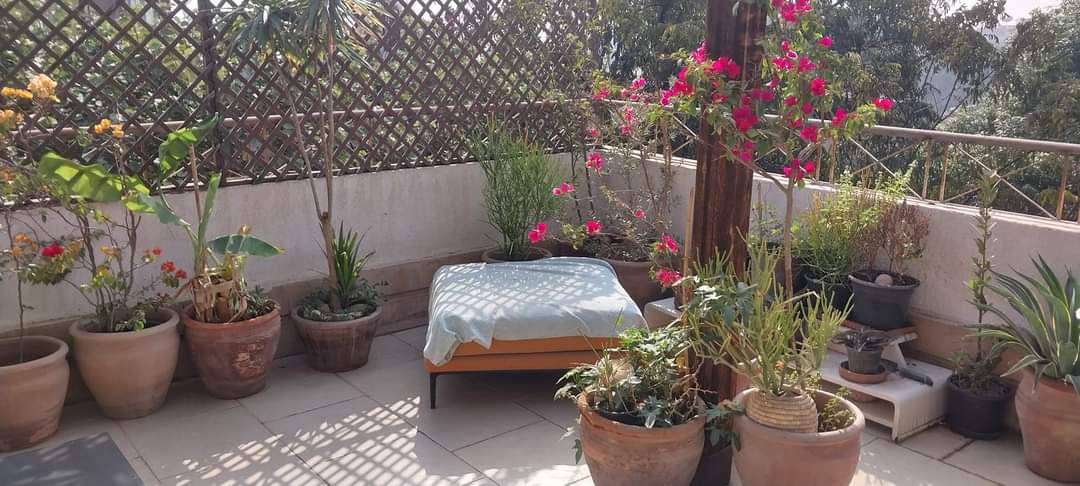 A Lovely Penthouse For Rent In The Heart Of Maadi Sarayat.