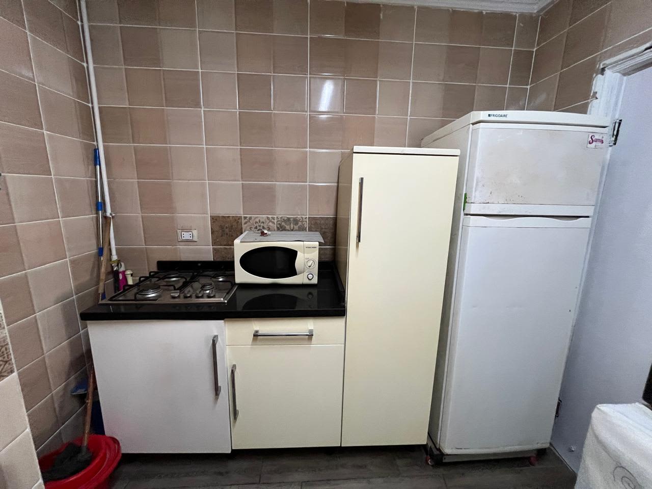 Furnished Apartment In Zamlek Close To Nile