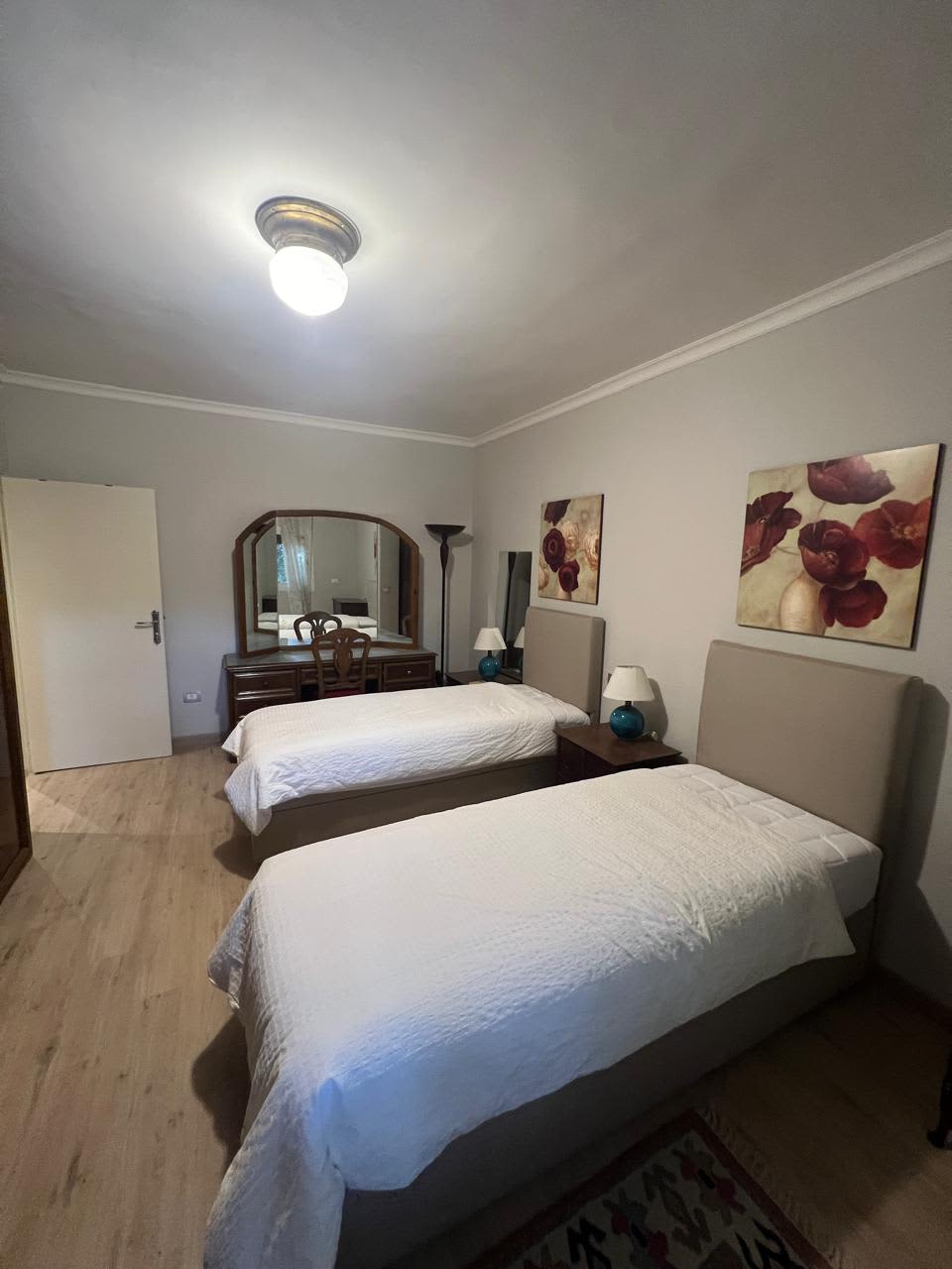 Charming Furnished Apartment For Rent In Maadi Degla.