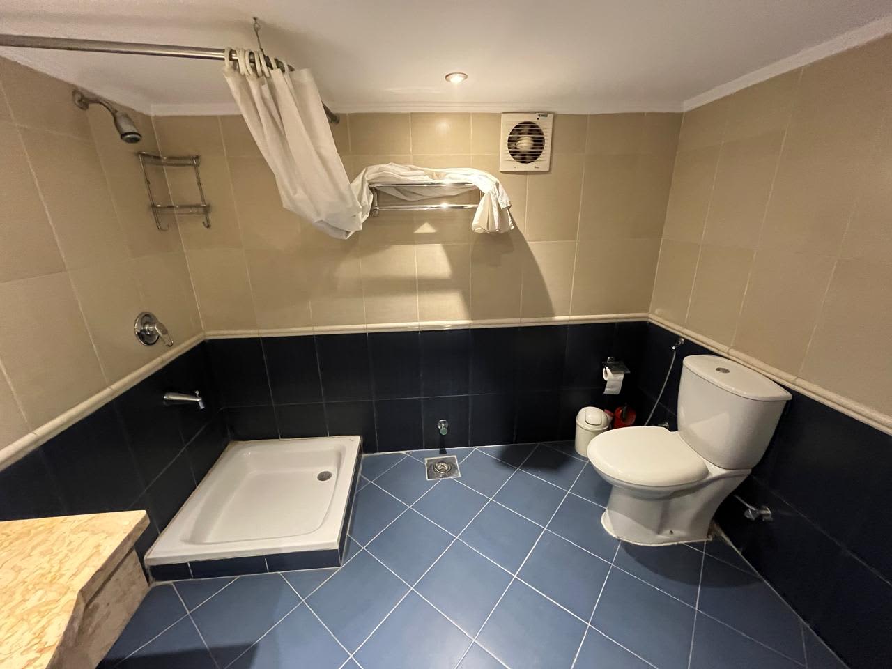Ground Floor With Pool and Garden For Rent In Zamalek