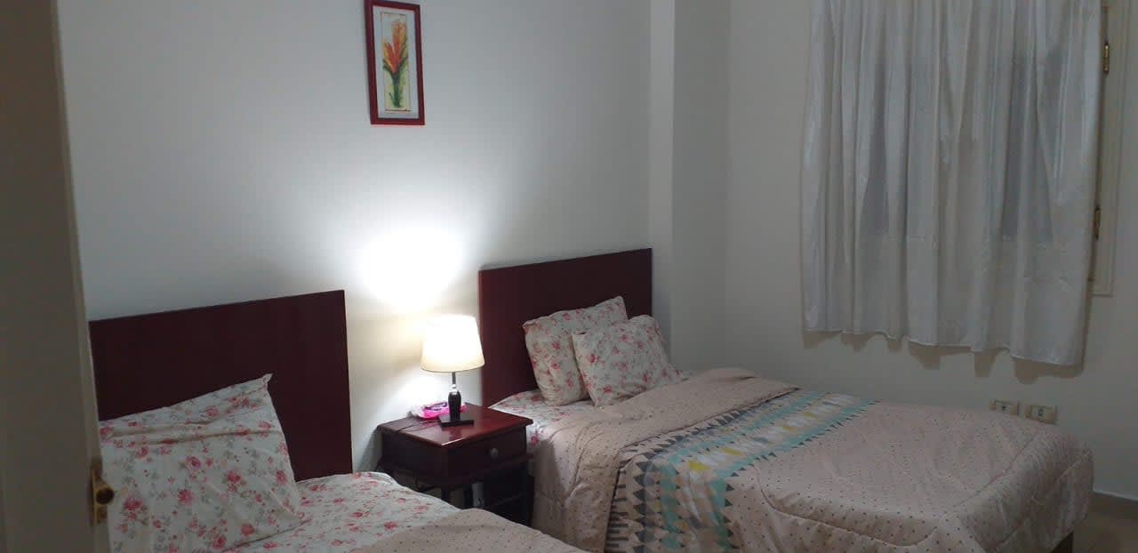 Furnished& Renovated Apartment in Maadi Degla