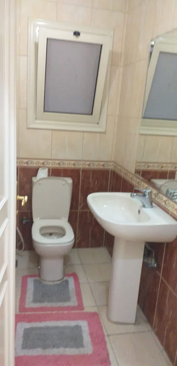 Furnished& Renovated Apartment in Maadi Degla