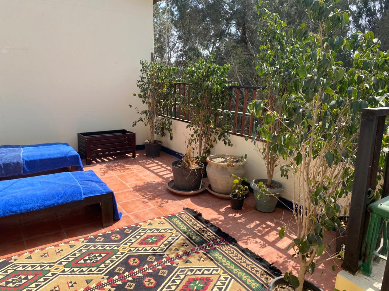 Sunny& Charming Rooftop For Rent In Sarayat Maadi