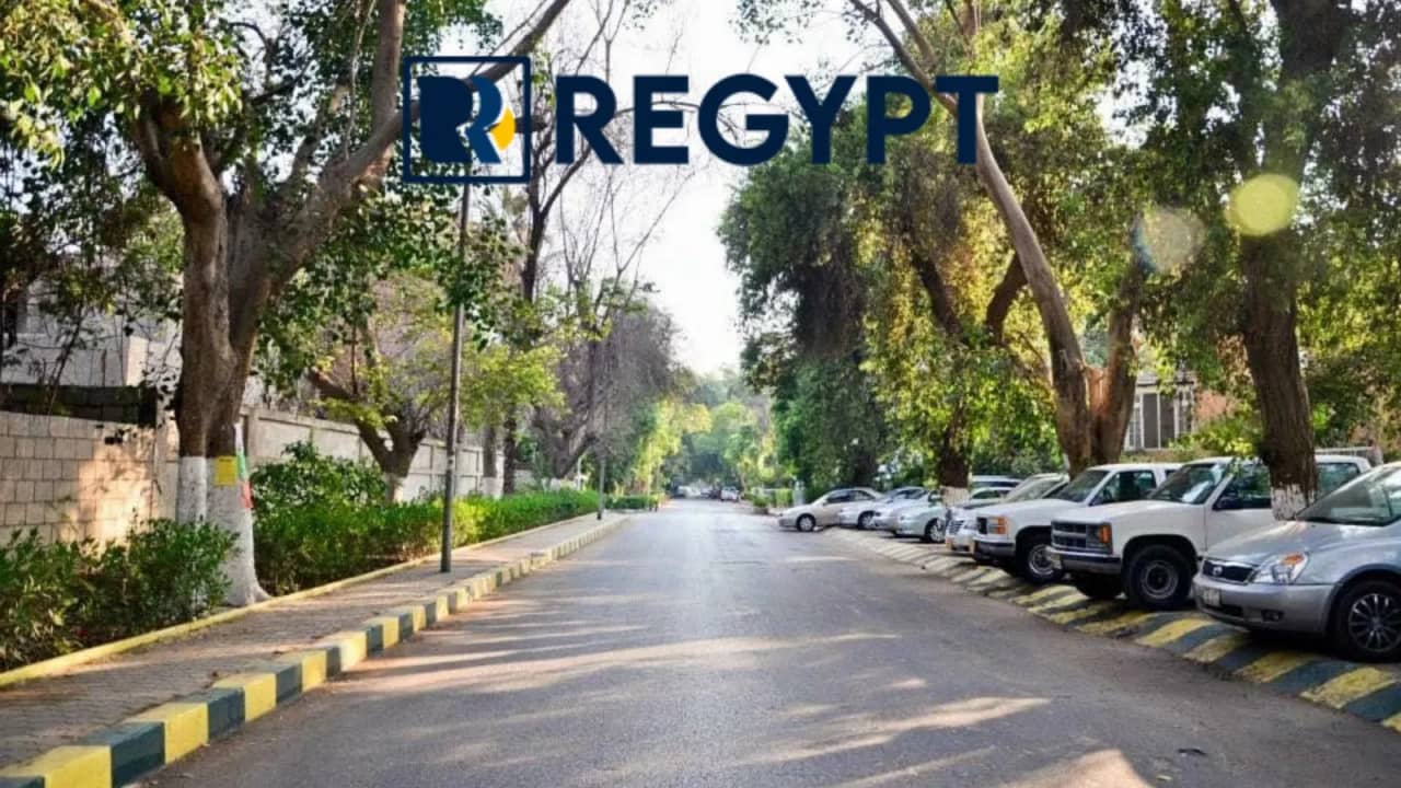 Moving to Maadi as an Expat: Complete Relocation Guide 2026