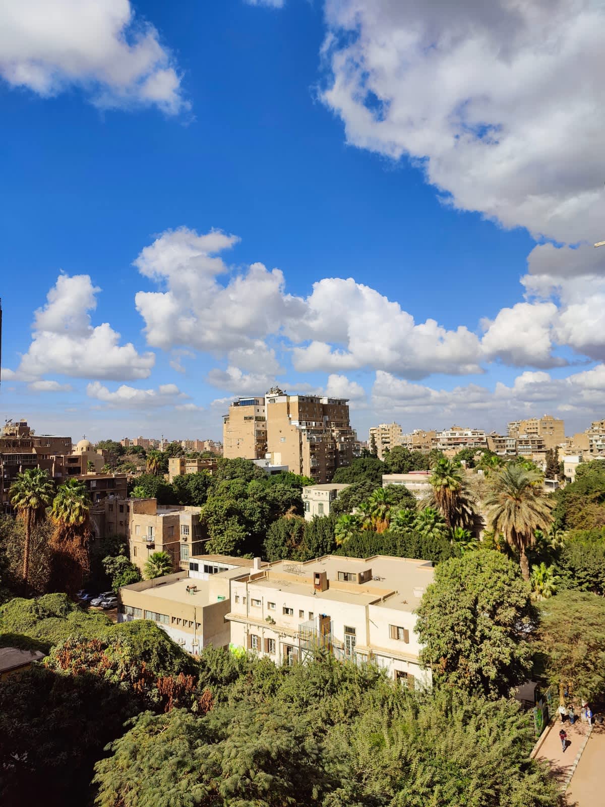 Furnished Apartment In The Heart Of Zamalek Looking View Nile