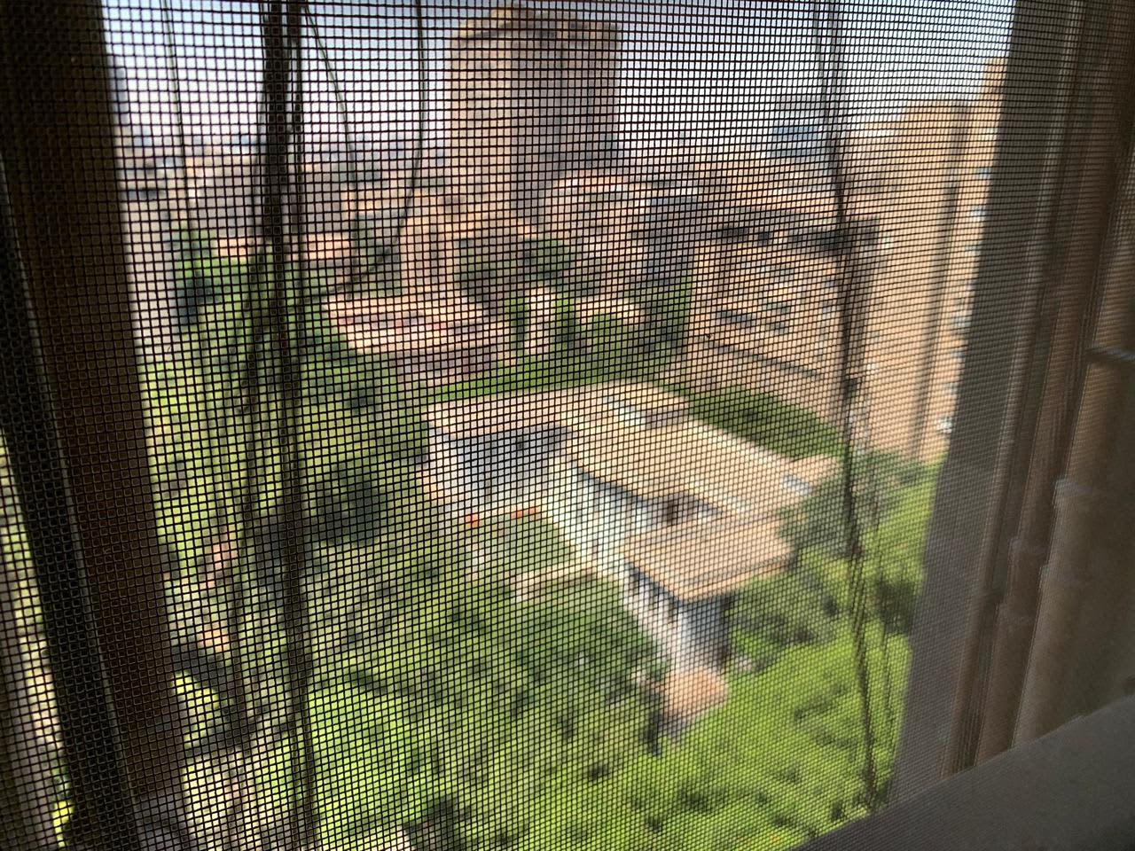 Spacious 3-Bedroom Home with Natural Light In Zamalek