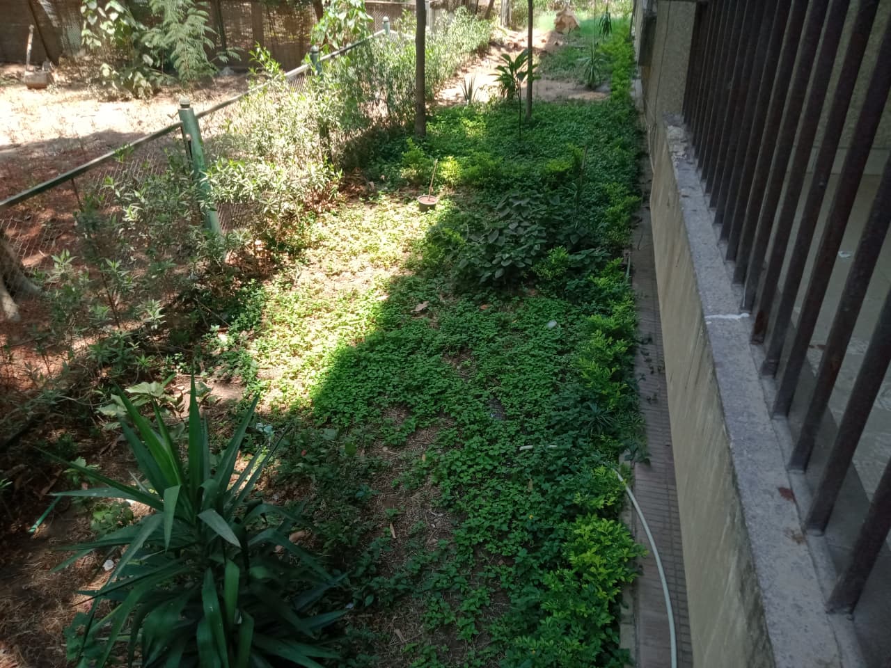 Furnished Ground Floor For Rent In Maadi Degla|100m²|Amazing Garden