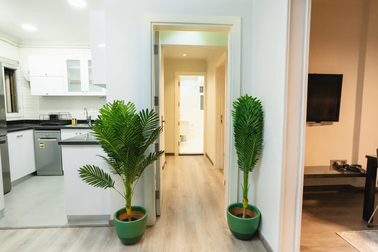 Central 2BR in Zamalek 5 mins walk to the Nile — Mohamed Mazhar