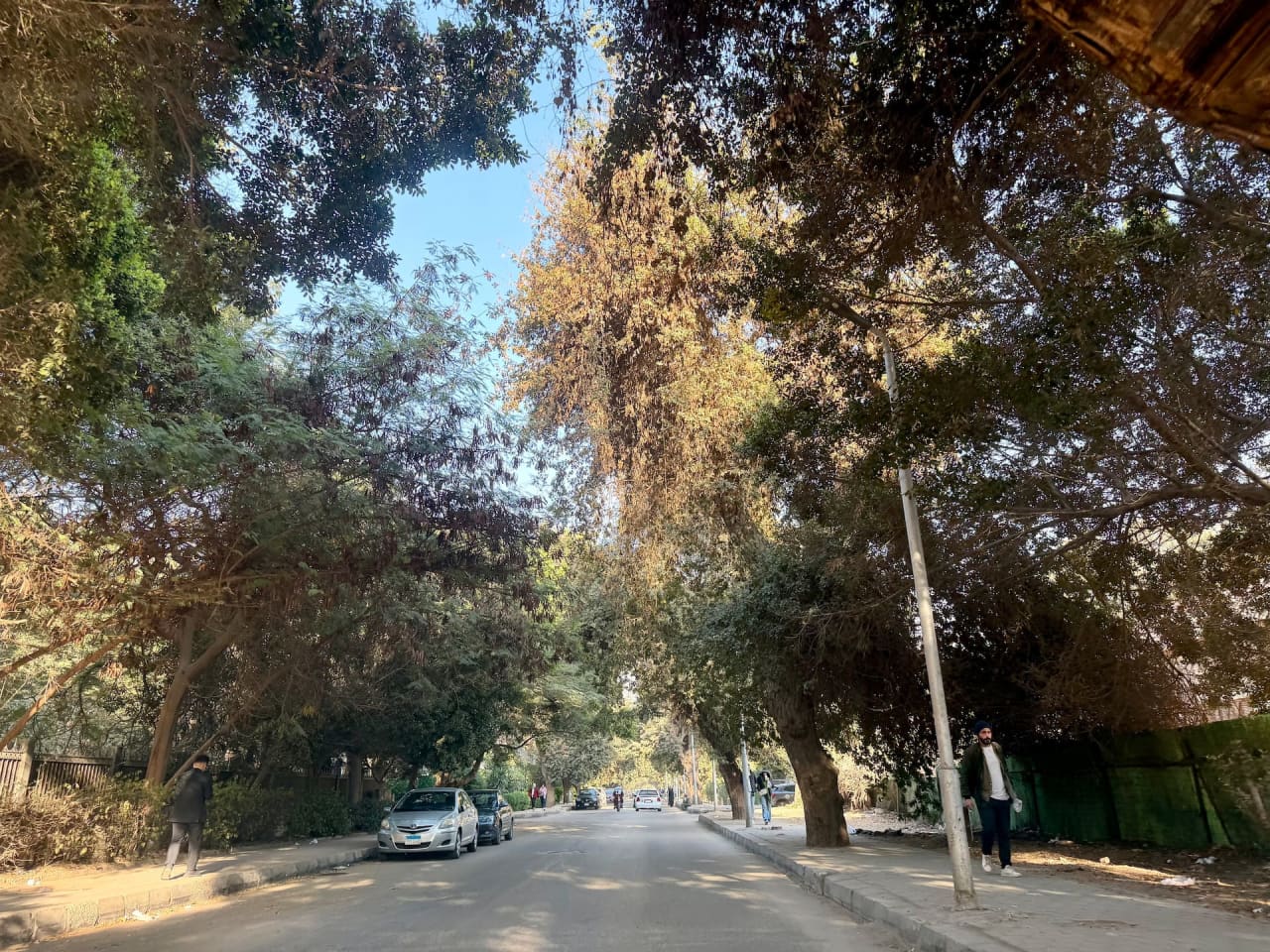 Homey 2BR Apartment in Maadi Pool & Garden View — Cairo
