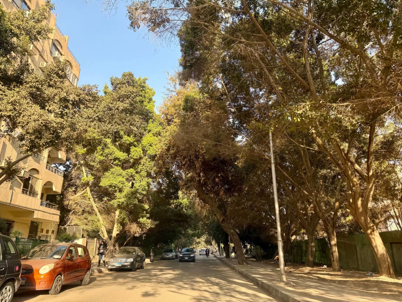 Homey 2BR Apartment in Maadi Pool & Garden View — Cairo