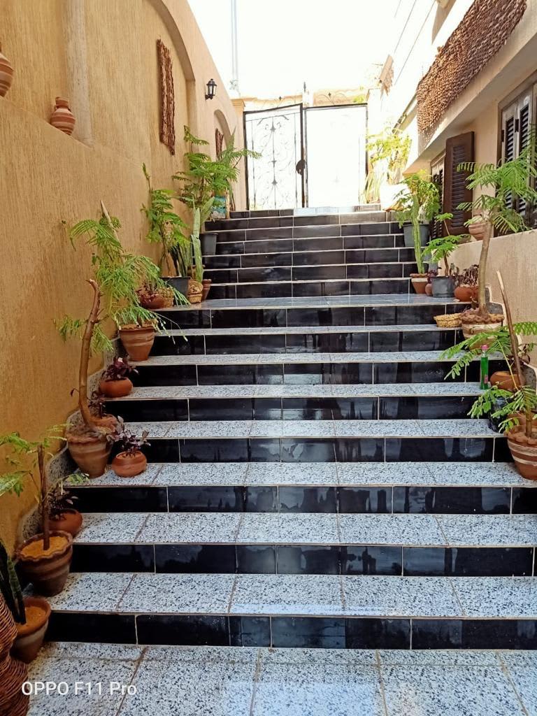 3 غرف نوم مكتب للإيجار في القاهرة الجديدة ، القاهرة - صورة 4