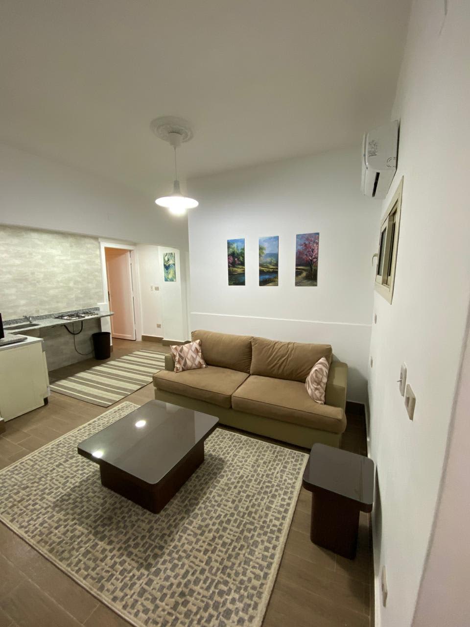 1 bedroom Studio for rent in Zamalek